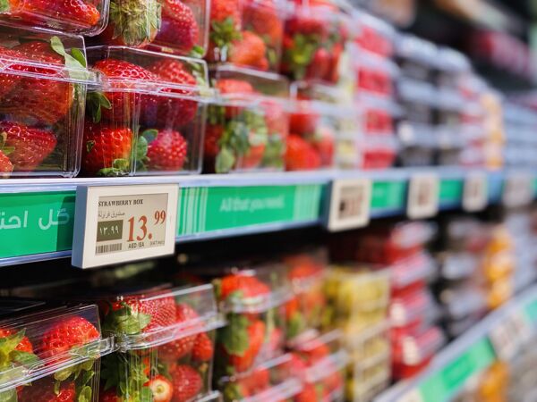 Newton ESL in grocery shelf