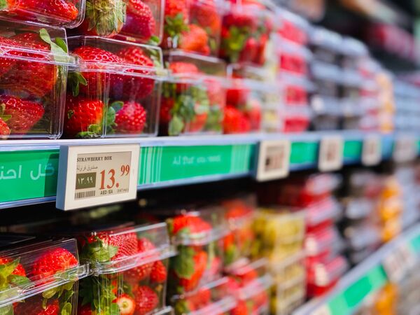 Newton ESL in the fruit section